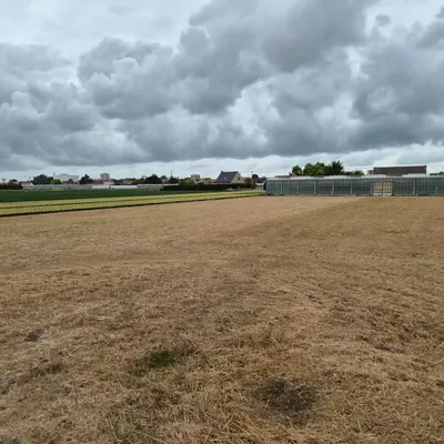 Dunkerque : la crise migratoire vers les serres de Rosendaël