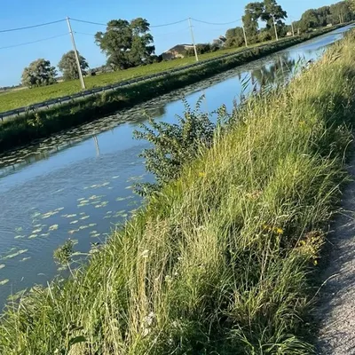 Looberghe : "Ce sentiment étrange, cette satisfaction, d’avoir...