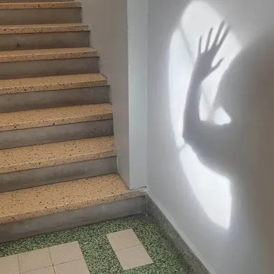 Le Tribunal de Dunkerque travaille avec les associations pour aider...