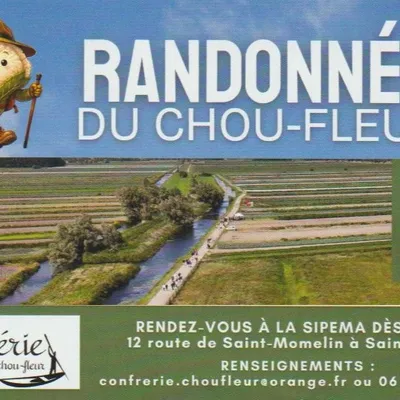 Saint-Omer : La Randonnée du Chou Fleur ce dimanche 14 juin
