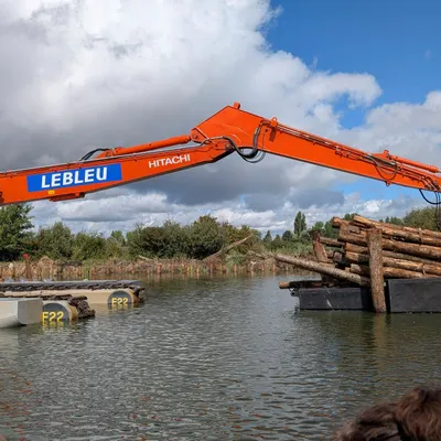 Clairmarais : un chantier dans l’eau pour faire revenir le Butor...