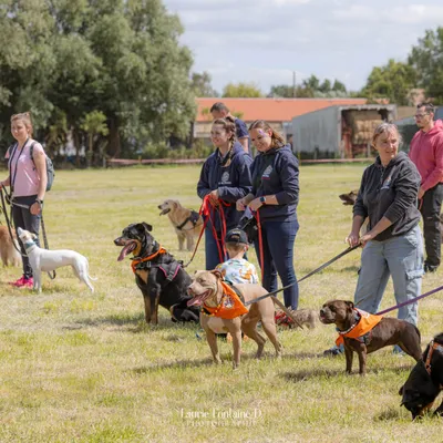 Dunkerque / Calais / Saint-Omer : une école pour certifier le duo...