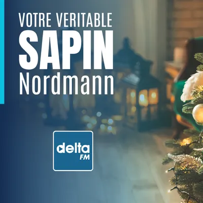Votre sapin de Noël à gagner
