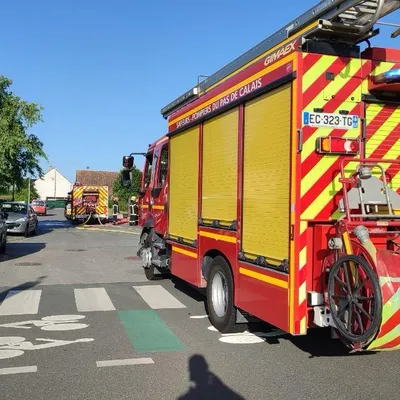 Dix cochons sauvés par les pompiers à Pitgam