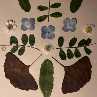 Wimille : Ateliers gratuits à la Colonne de la Grande Armée dimanche