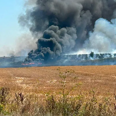 Un champ de chaume détruit par les flammes entre Bourbourg et...