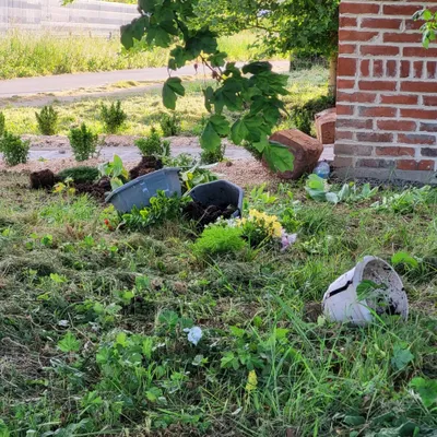 Hazebrouck : à peine rénovée, la chapelle vandalisée à quelques...