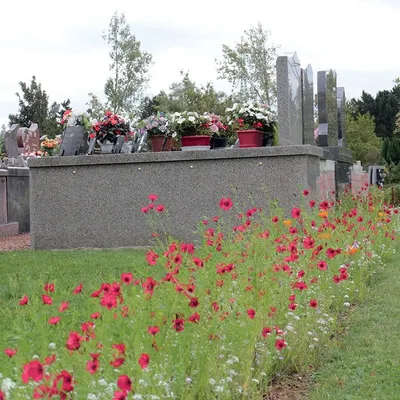 Un engin explosif découvert au nouveau cimetière de Grande-Synthe...