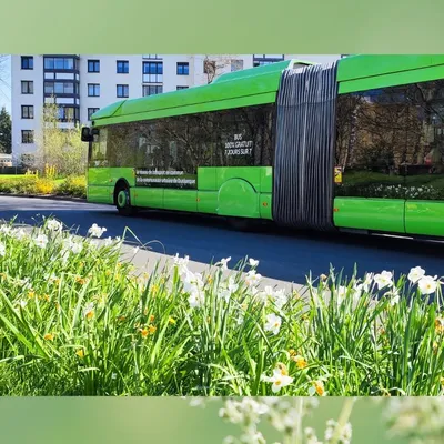 Un chauffeur Dk'Bus agressé à Coudekerque-Branche