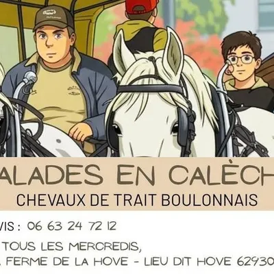 Wimereux : Balades en calèche chaque mercredi