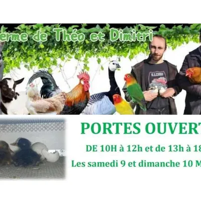 Balinghem : Portes ouvertes ce week-end à la Ferme de Théo et Dimitri