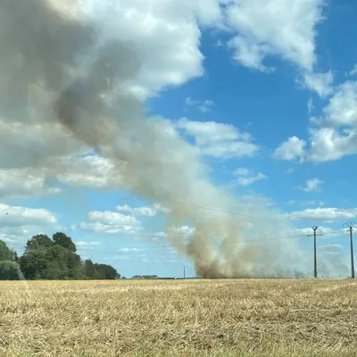 Quaëdypre : un feu de ferme ravage trois hectares route du Cheval Noir