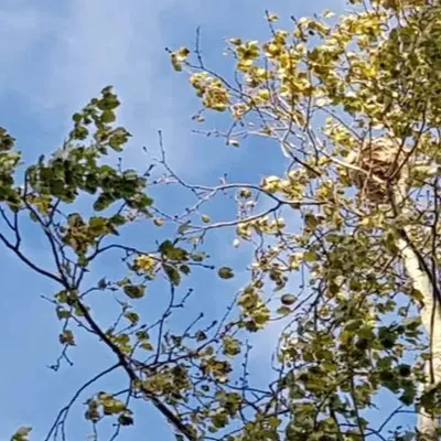Saint-Pol-sur-Mer : un homme a frôlé la mort après une piqûre de...