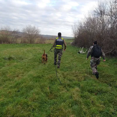 Ambleteuse : une "dernière" grande battue pour retrouver David Pique