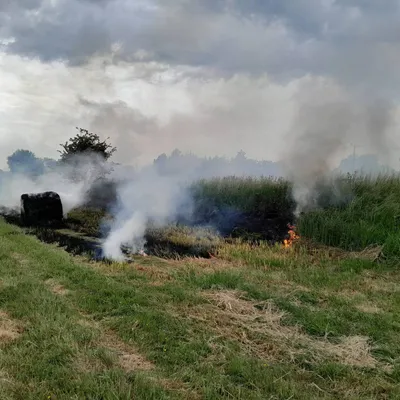 Coulogne : un pyromane s'en prend à leurs champs, les éleveurs en...