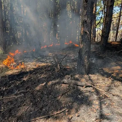Incendies à Dannes et Neufchâtel-Hardelot, flammes fixées,...