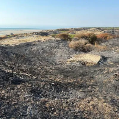 Le Préfet au soutien des pompiers entre Dannes et Neufchâtel-Hardelot