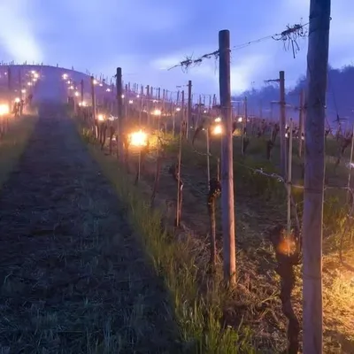 Sainte-Marie-Kerque : peut-être encore des fumées sur les routes la...