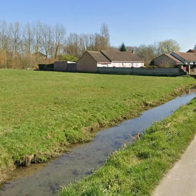 Aire-sur-la-Lys : des poissons morts dans l'eau polluée de la...