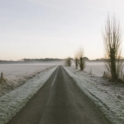 Vigilance vents forts et verglas ce mercredi 19 novembre en Flandre...