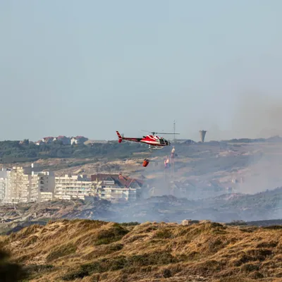 Incendies entre Dannes et Neufchâtel : de nouveaux éléments sur la...