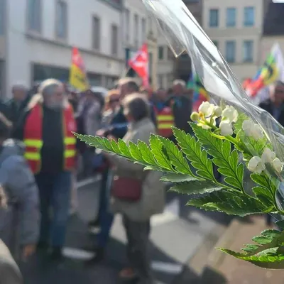 St omer : Manifestation du 1er mai: plus de 500 personnes à...