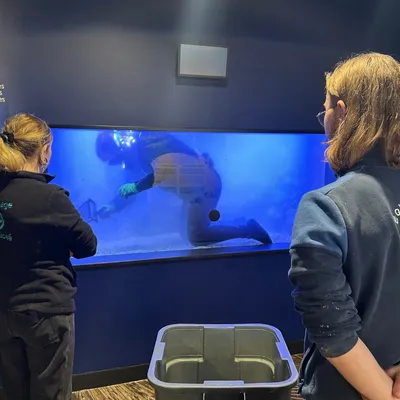 Boulogne : Encore des surprises et des nouveautés à Nausicaà en 2026