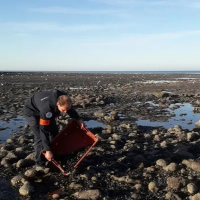 Audinghen, Equihen-Plage, Le Portel, Wimereux, c'est l'heure de la...