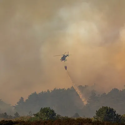 Dannes, Hardelot, Camiers : "le feu n'est pas fixé", les deux...