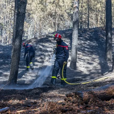 Incendies entre Dannes et Neufchâtel-Hardelot, situation plutôt...