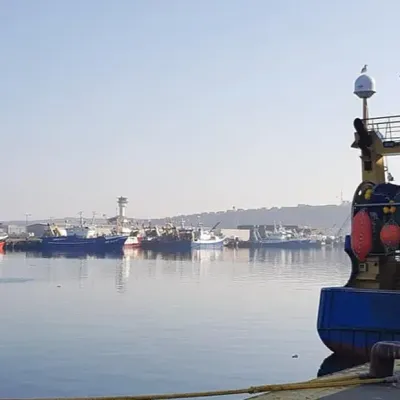 Côte d'Opale : nouveaux quotas de pêche en mer sous fond de tension