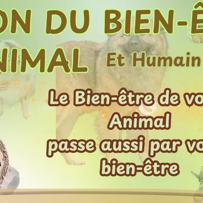 Watten : Salon du bien-être Animal et Humain les 12 et 13 septembre