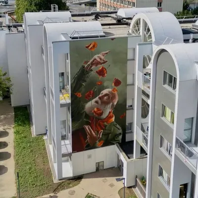 Boulogne : le vieil homme aux coquelicots est élu deuxième plus...