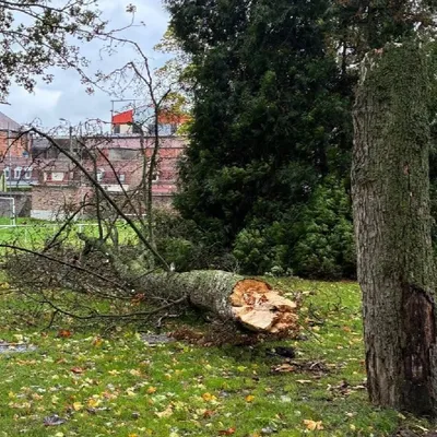 Le bilan de la tempête Austen dans la Région
