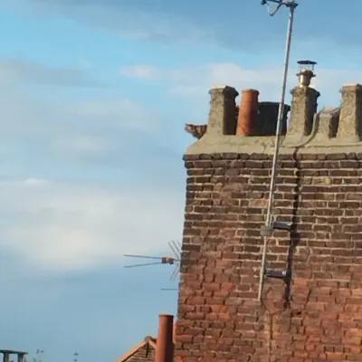 Calais : un chat bloqué sur une cheminée pendant quatre jours