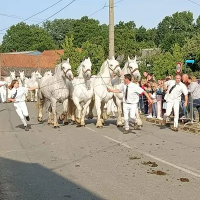 Dohem : un tiercé à brouettes lors de la nouvelle édition de la...