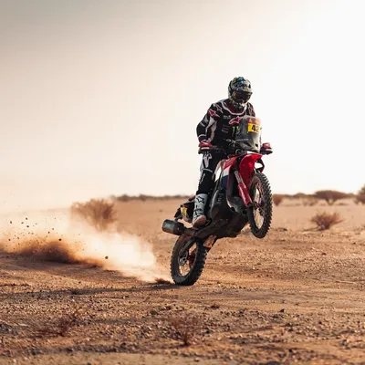 Dakar 2026 : Simon Vitse vainqueur en deux roues motrices, Adrien...