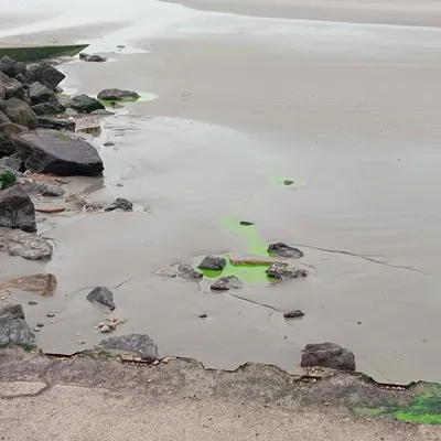 Wimereux : c'est quoi cette coloration fluorescente sur des façades...
