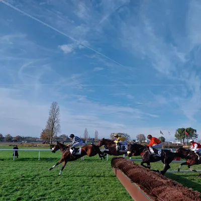 Les pronostics hippiques pour ce samedi 6 décembre