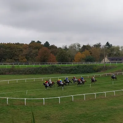 Les pronostics hippiques pour ce dimanche 9 novembre