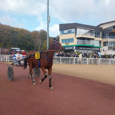 Les pronostics hippiques pour ce dimanche 7 décembre