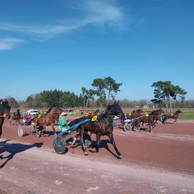 Les pronostics hippiques pour ce samedi 18 avril