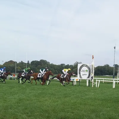 Les pronostics hippiques pour ce dimanche 19 avril