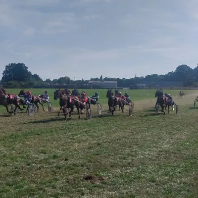 Les pronostics hippiques pour ce samedi 12 septembre