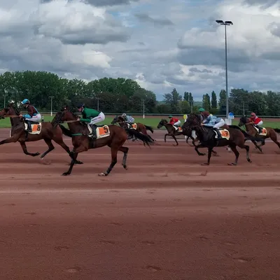 PODCAST. Les pronostics hippiques pour ce dimanche 18 janvier