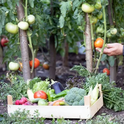 En Maine-et-Loire. Huit enquêtes contre la vente et l’utilisation...