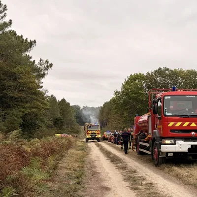Gennes-Val-de-Loire. Un nouvel incendie dans la forêt de Milly
