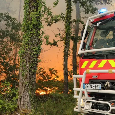 Baugé-en-Anjou. Le feu qui a détruit 55 hectares de forêt est fixé
