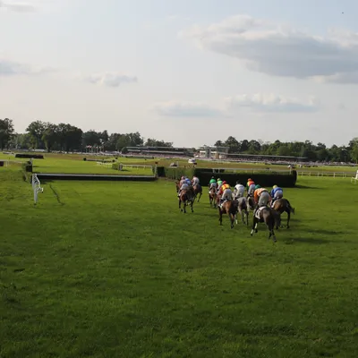  Les courses de retour cet après-midi au Lion d’Angers