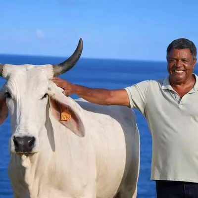 Biguine pourrait faire son grand retour au Salon l’an prochain…...